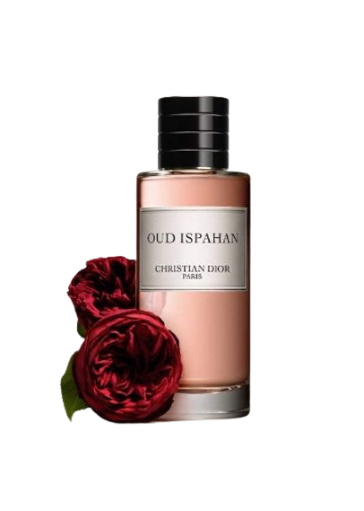 ConceptionParfum7-removebg-preview